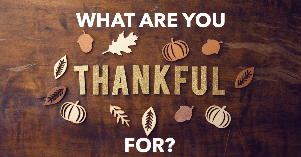 What You're Thankful For What You're Thankful For